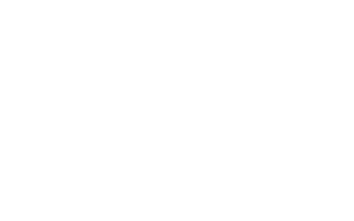 World FUE Institute